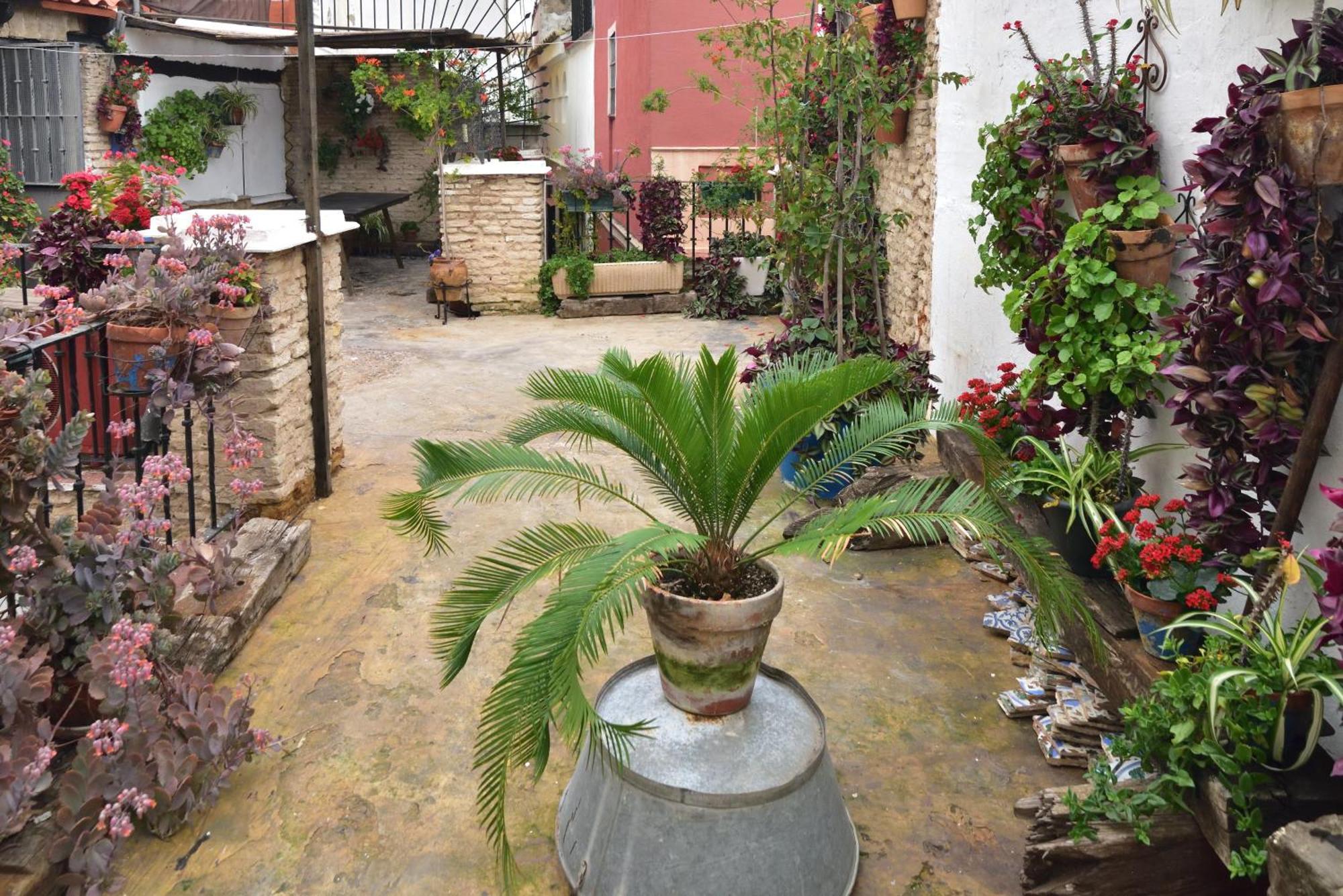 Suite Dona Ines Barrio Santacruz Σεβίλλη Εξωτερικό φωτογραφία
